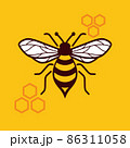 Honey bee vector image 86311058