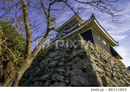 浜松城 天守閣 静岡県浜松市 浜松城 天守閣 静岡県浜松市 86311603