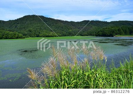 大山上池・下池 ラムサール条約登録地 86312276