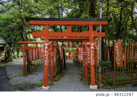 浜松八幡宮　浜松稲荷神社　静岡県浜松市 86312287