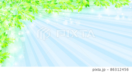 新緑　葉　風景　背景  86312456