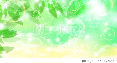 新緑 葉 風景 背景 新緑 葉 風景 背景 86312477