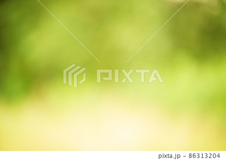 Defocus greenery forest. Blurred natural green background. Defocus greenery forest. Blurred natural green background. 86313204
