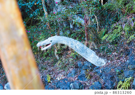 白蛇 白蛇 86313260