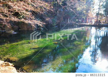 出流原弁天池 出流原弁天池 86313315