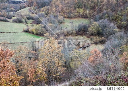 Wooded clearing, space for your design or text. Forest and field on a sunny warm autumn morning, top view. Nature forest and wooded meadow concept. Landscape background for post, screensaver Wooded clearing, space for your design or text. Forest and field on a sunny warm autumn morning, top view. Nature forest and wooded meadow concept. Landscape background for post, screensaver 86314002
