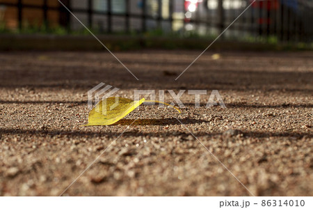 A fallen yellow leaf lies alone on the path. Soft focus photography. Tilt-shift effect. Autumn melancholic mood. 86314010