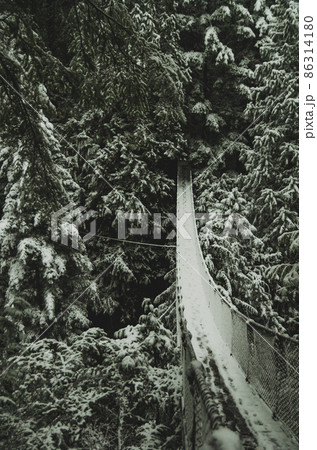 雪を被ったリンキャニオンサスペンションプリッジ 86314180