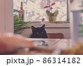 椅子の上の黒猫 86314182