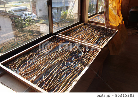 芋茎（ズキ）の天日干し　高知県室戸市の日南（ひなた）の田芋 86315383