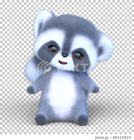 raccoon raccoon 86315924