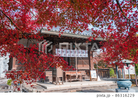 京都　乙訓寺（おとくにでら）の本堂と紅葉 86316229