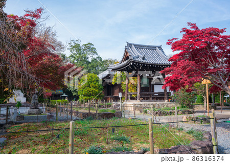 京都　乙訓寺（おとくにでら）の鐘楼と紅葉 86316374