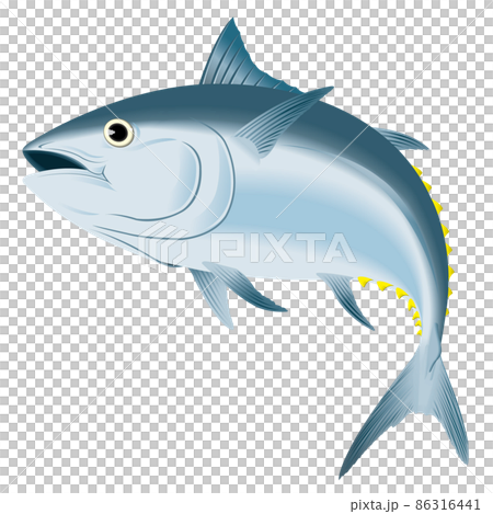 Tuna image Tuna image 86316441