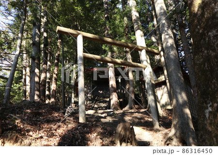 奥多摩むかし道 羽黒三田神社 奥多摩むかし道 羽黒三田神社 86316450