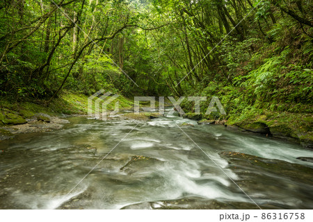 緑豊かな森をバックに浅い川の流れ 86316758