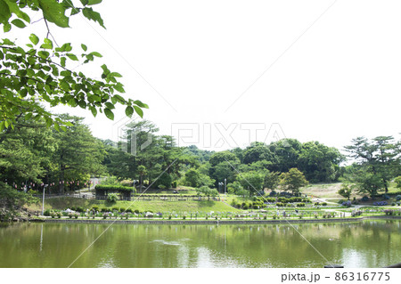 岡崎市東公園花菖蒲祭りの風景 岡崎市東公園花菖蒲祭りの風景 86316775