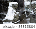 雪化粧をした狛犬 狛犬の上に降り積もる雪 神社の雪景色 86316884