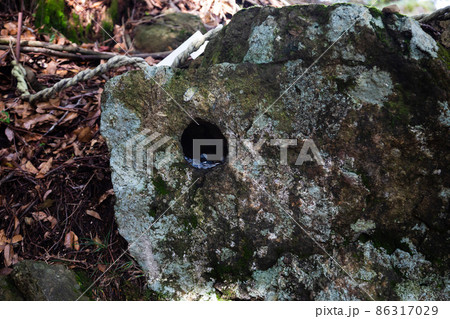 大山登山道の天狗の鼻突き岩 86317029