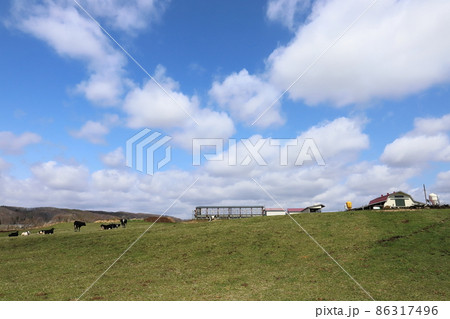 北海道 日高地方 牧場のある風景 北海道 日高地方 牧場のある風景 86317496