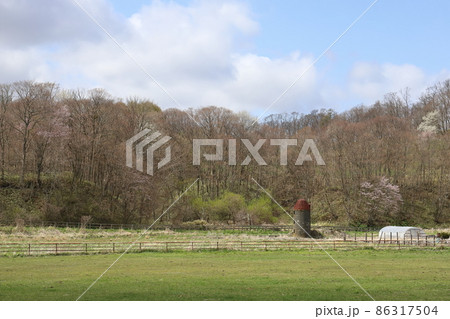 北海道 日高地方 牧場のある風景 北海道 日高地方 牧場のある風景 86317504