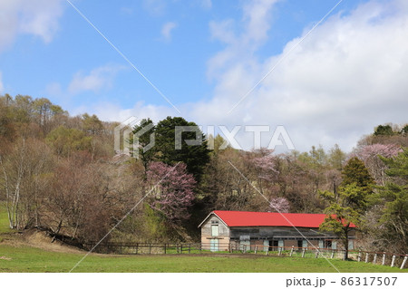 北海道 日高地方 牧場のある風景 北海道 日高地方 牧場のある風景 86317507