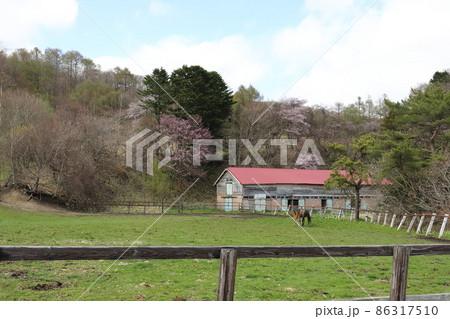 北海道　日高地方　牧場のある風景 86317510