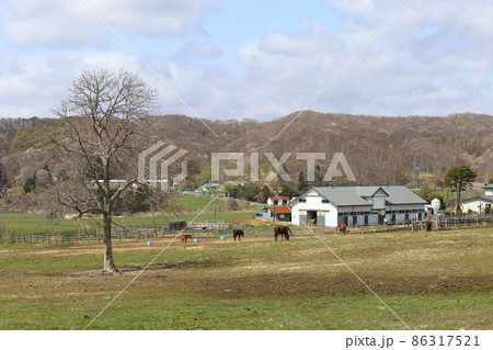 北海道 日高地方 牧場のある風景 北海道 日高地方 牧場のある風景 86317521