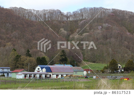 北海道　日高地方　牧場のある風景 86317523