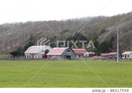 北海道 日高地方 牧場のある風景 北海道 日高地方 牧場のある風景 86317549