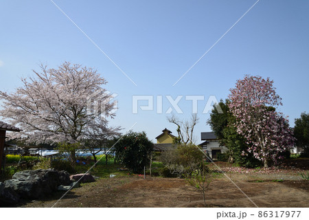 我家からの眺め 2021年春 #82 我家からの眺め 2021年春 #82 86317977