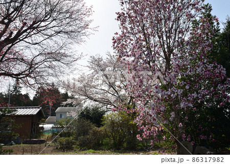 我家からの眺め 2021年春 #87 我家からの眺め 2021年春 #87 86317982