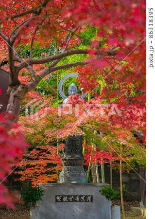 京都　乙訓寺（おとくにでら）の聖観世音菩薩像と紅葉 86318395
