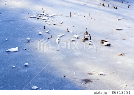 雪に覆われた葦わらの切り株 雪に覆われた葦わらの切り株 86318551