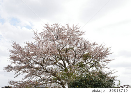 我家からの眺め 2021年春 #116 我家からの眺め 2021年春 #116 86318719