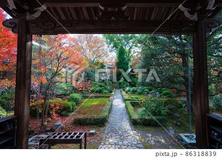 京都　安楽寺の紅葉　　 86318839