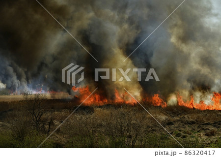 渡良瀬遊水地で起きた野火 渡良瀬遊水地で起きた野火 86320417
