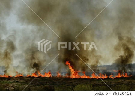 渡良瀬遊水地で起きた野火 渡良瀬遊水地で起きた野火 86320418