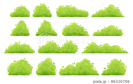 Cartoon bushes. Green garden decorative hedge and forest shrubs with leaves. Vector isolated set landscaping green shrub 86320706