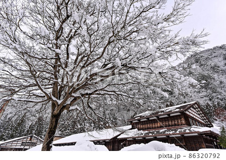 白山麓の雪景色 白山麓の雪景色 86320792