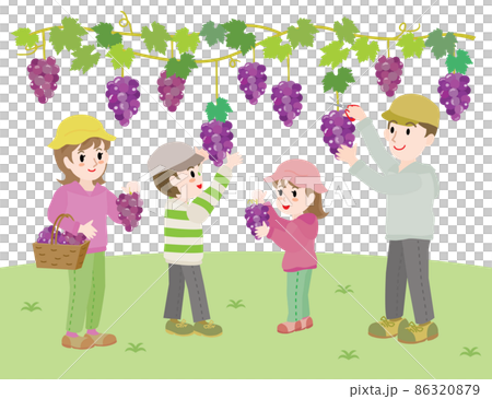 Illustration of a family picking grapes 86320879