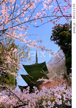 大法寺・三重の塔と桜 86321140