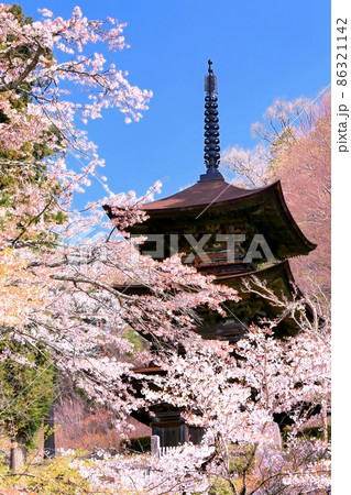 大法寺・三重の塔と桜 86321142