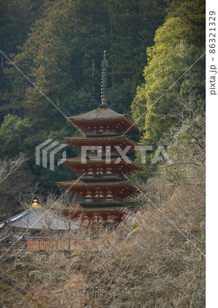 奈良県桜井市初瀬の長谷寺の五重塔 86321329