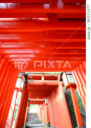 島根県鹿足郡津和野町　太皷谷稲成神社 86321477