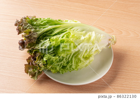 リーフレタス 86322130
