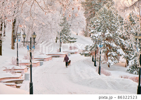 Culture and Recreation Park of Khabarovsk, Russia after heavy snowfall in the morning at sunrise. Trees in the snow. 86322523
