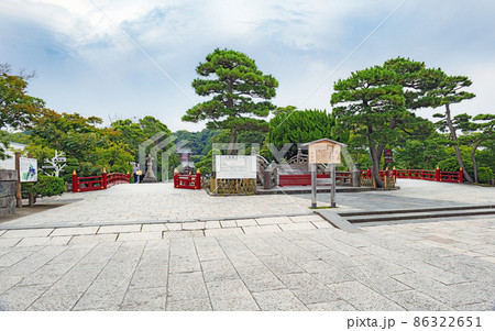 鎌倉 鶴岡八幡宮 境内風景 86322651