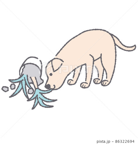 犬と倒れた観葉植物 86322694