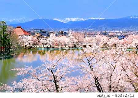 臥竜公園の桜 86322712